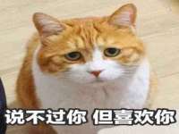 淮安风之帆网络科技有限公司