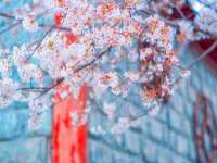 淮安风之帆网络科技有限公司