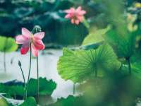 淮安风之帆网络科技有限公司