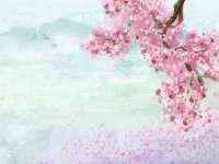 淮安风之帆网络科技有限公司