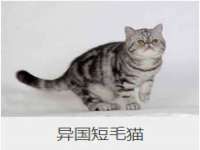 淮安风之帆网络科技有限公司