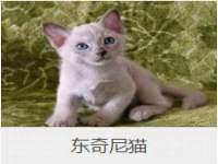 淮安风之帆网络科技有限公司