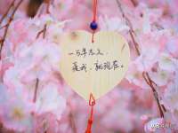 淮安风之帆网络科技有限公司