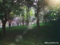 淮安风之帆网络科技有限公司