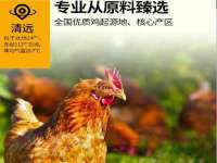 淮安风之帆网络科技有限公司