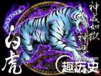 淮安风之帆网络科技有限公司
