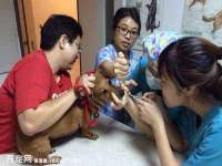 淮安风之帆网络科技有限公司