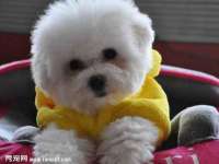 淮安风之帆网络科技有限公司