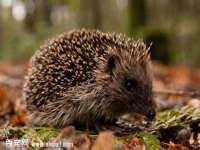 淮安风之帆网络科技有限公司