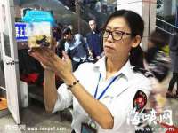 淮安风之帆网络科技有限公司