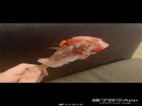 淮安风之帆网络科技有限公司